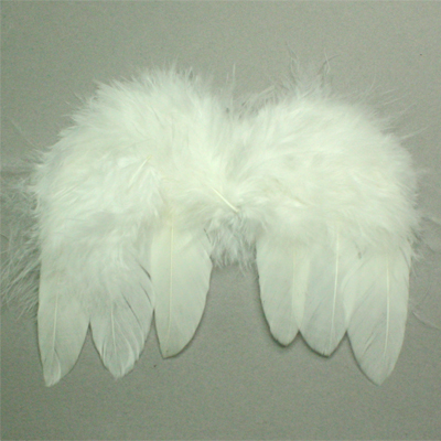 Feather wings - Click Image to Close